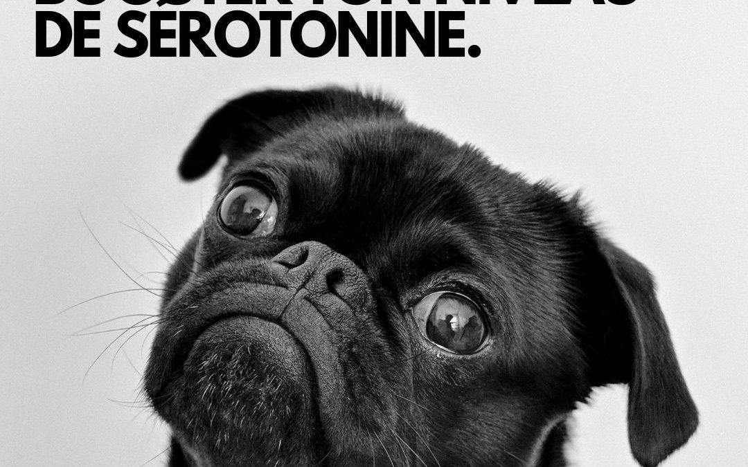 6 façons de booster ton niveau de sérotonine